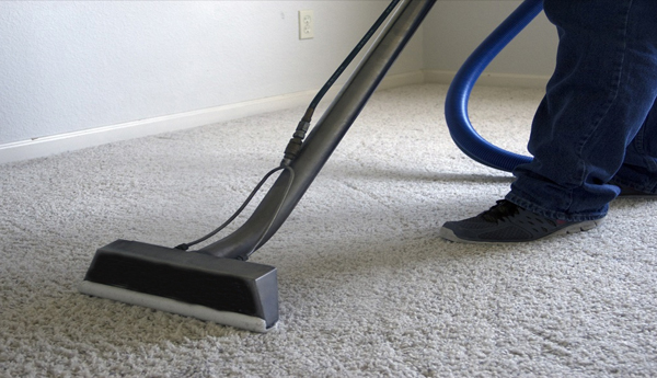 Carpet Cleaner Hire